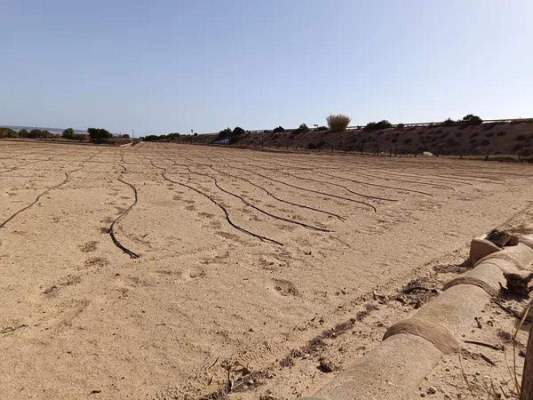 Terreno en venta en Elche / Elx, Alicante photo 1