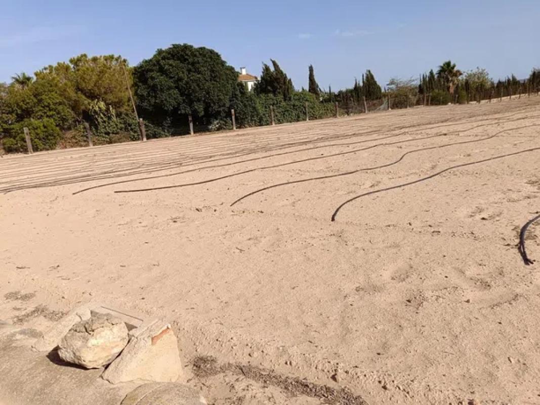 Terreno en venta en Elche / Elx, Alicante photo 2
