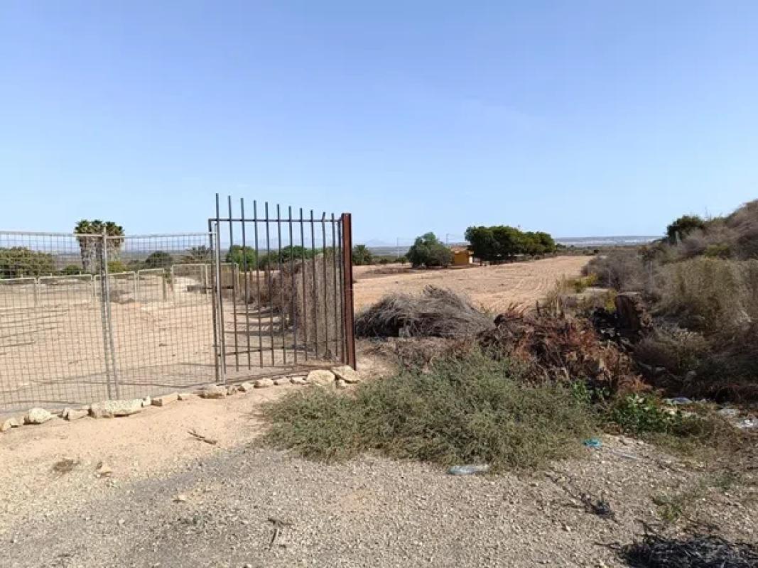 Terreno en venta en Elche / Elx, Alicante photo 3