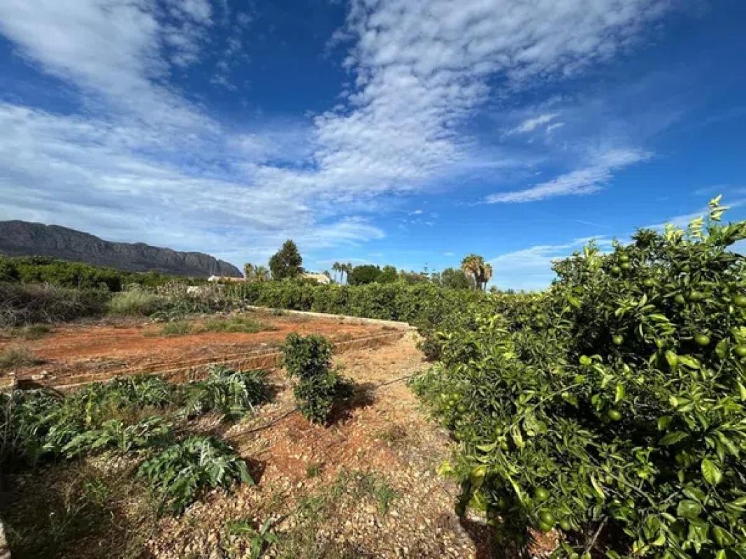 Land for sale in Benidoleig, Alicante photo 1