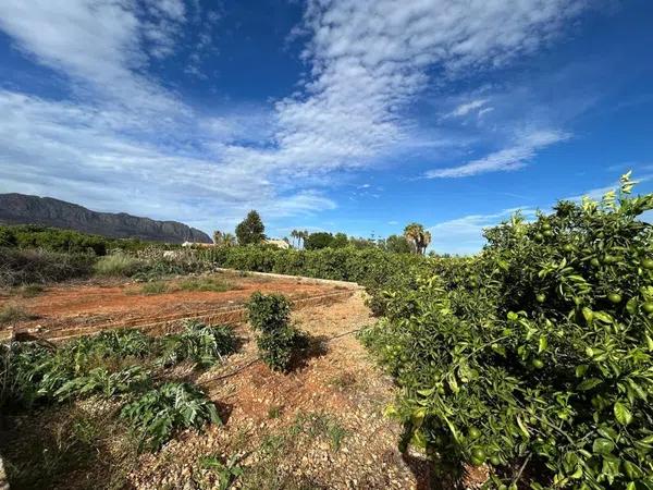 Terreno en Benidoleig photo 1