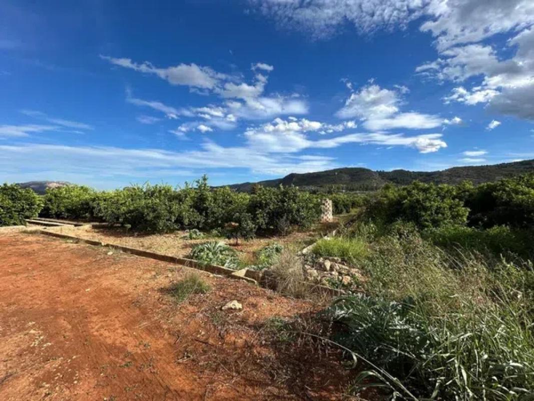 Land for sale in Benidoleig, Alicante photo 2