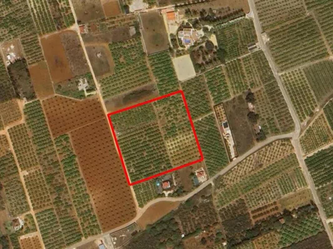 Land for sale in Benidoleig, Alicante photo 3