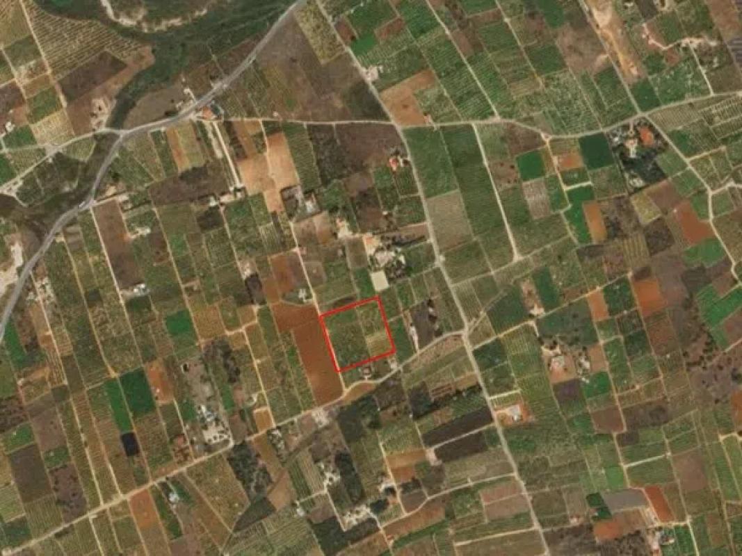Land for sale in Benidoleig, Alicante photo 4