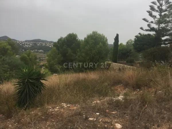 Terreno en avenida del Baix Segura, 11 thumbnail 2