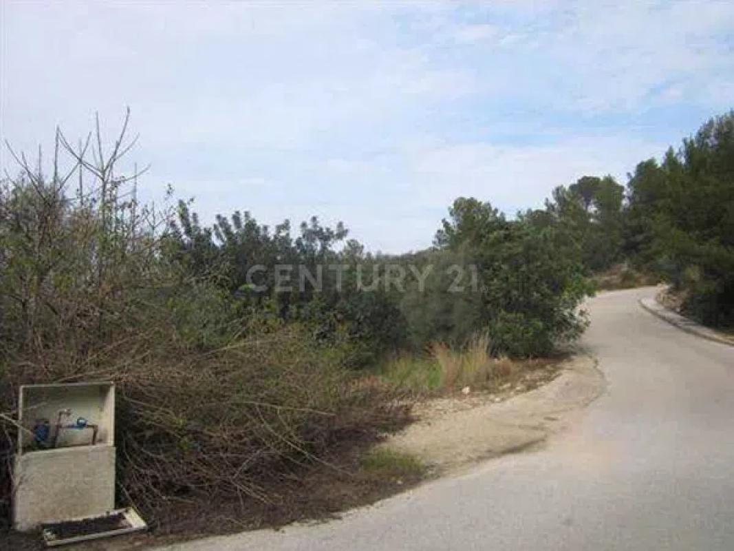Terreno en venta en Pego, Alicante photo 1