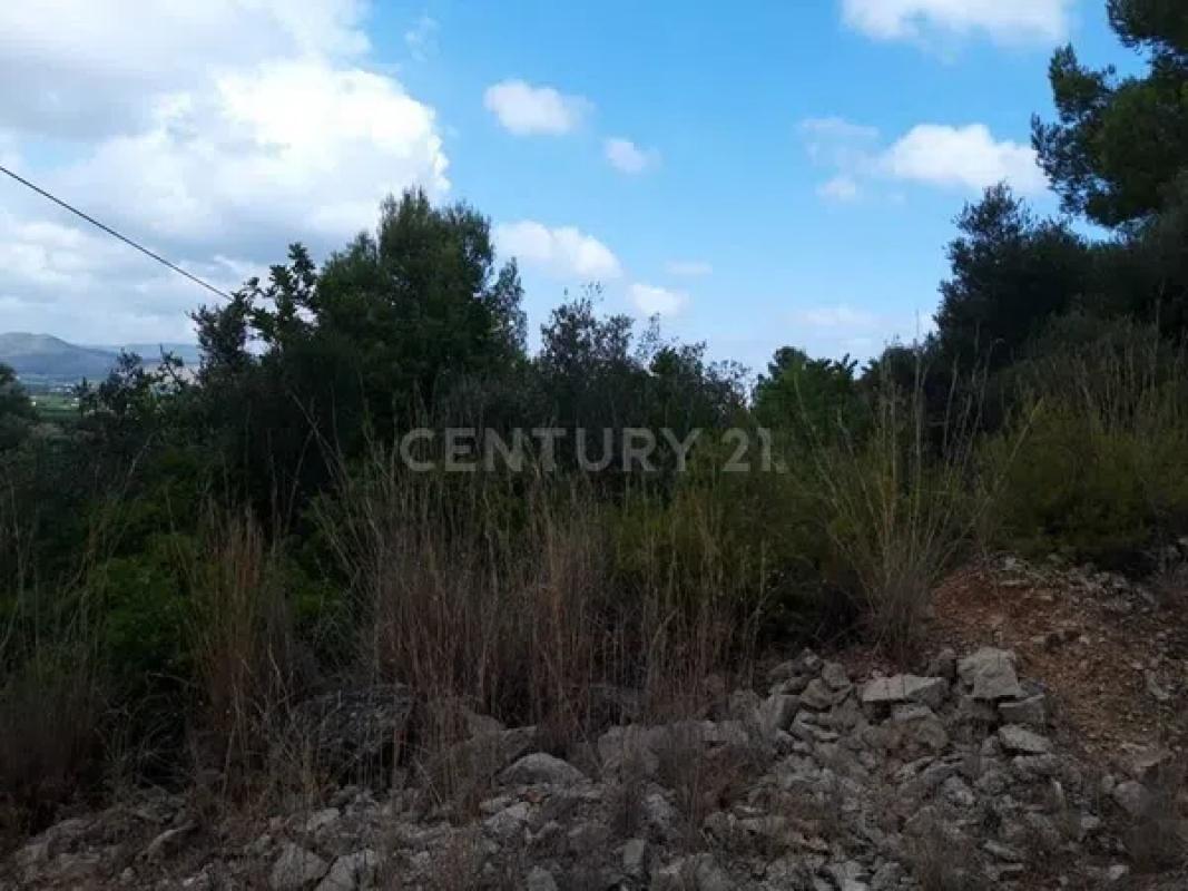 Terreno en venta en Pego, Alicante photo 3