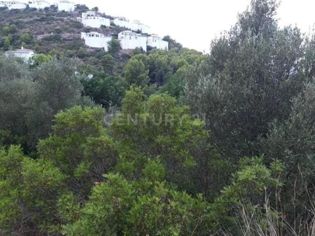 Terreno en venta en Pego, Alicante photo 4