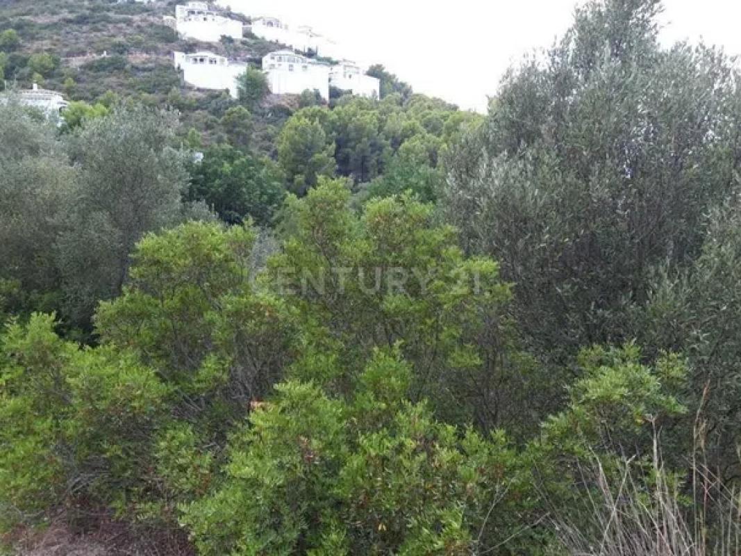 Terreno en venta en Pego, Alicante photo 5