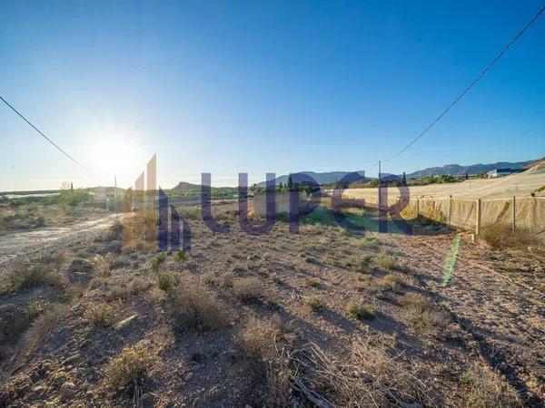 Terreno en Agost photo 4