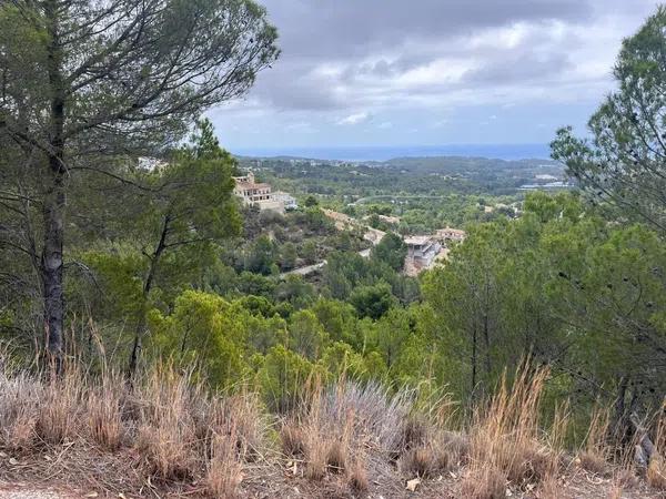 Terreno en Callosa d'En Sarria photo 1