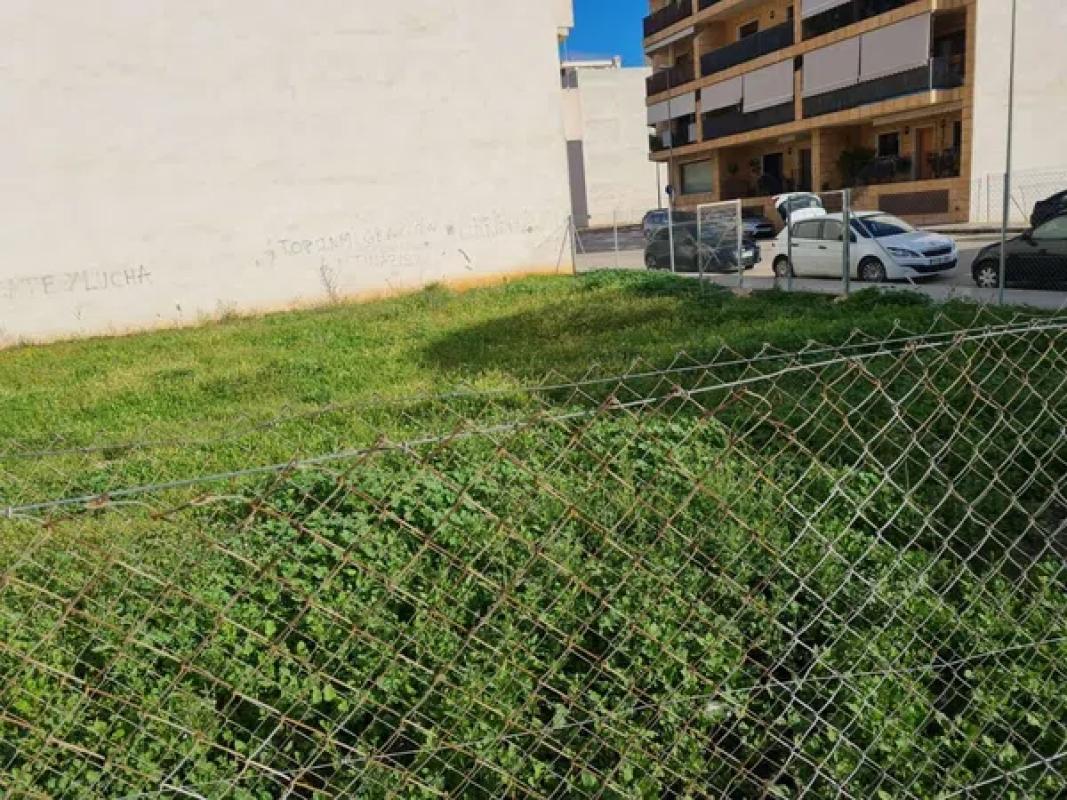 Działka na sprzedaż w Almoradí, Alicante photo 4