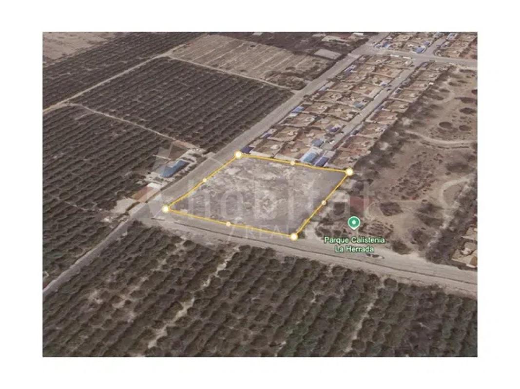 Terreno en venta en Los Montesinos, Alicante photo 1