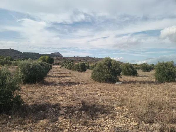 Terreno en Sax photo 1