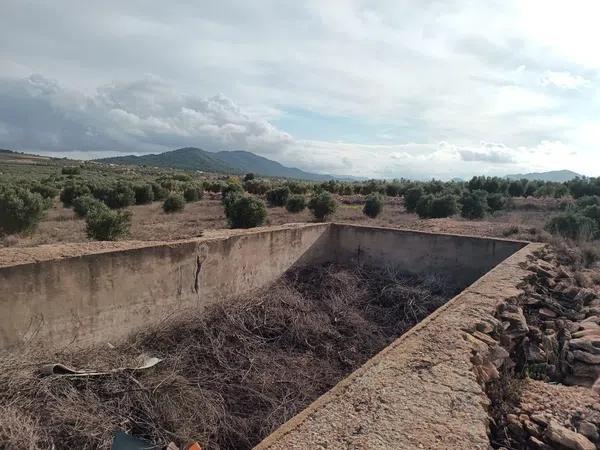 Terreno en Sax photo 2