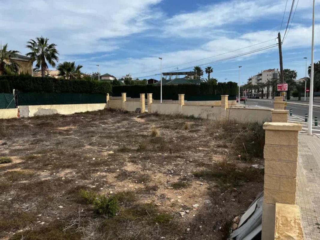 Działka na sprzedaż w Elche / Elx, Alicante photo 3