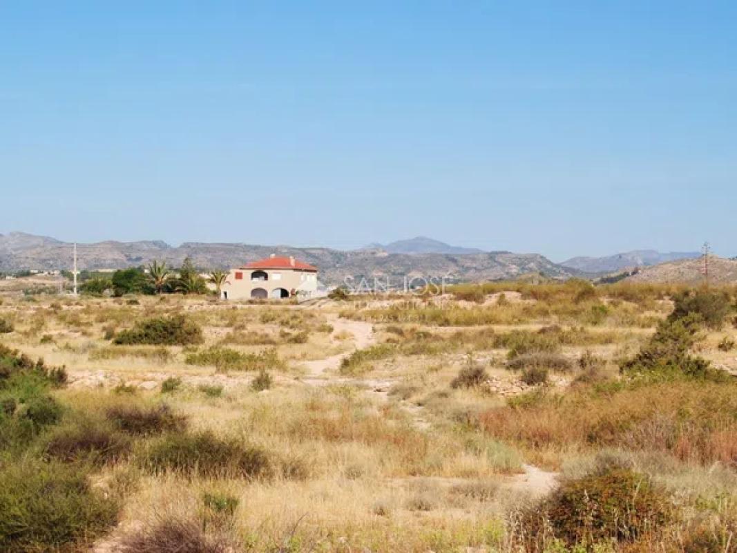 Terreno en venta en Elche / Elx, Alicante photo 5