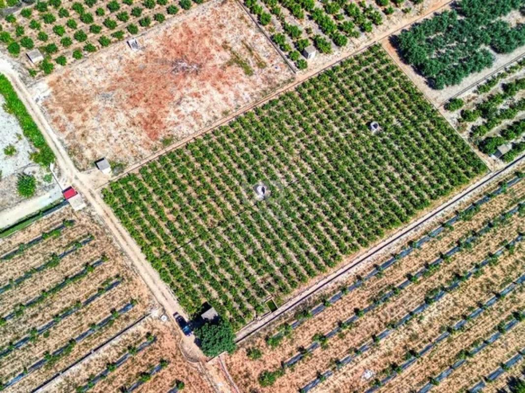 Terreno en venta en Banyeres de Mariola, Alicante photo 1