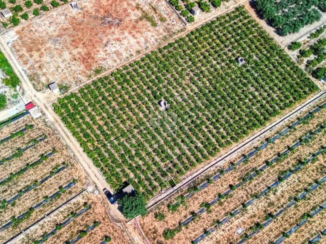 Terreno en venta en Banyeres de Mariola, Alicante photo 2