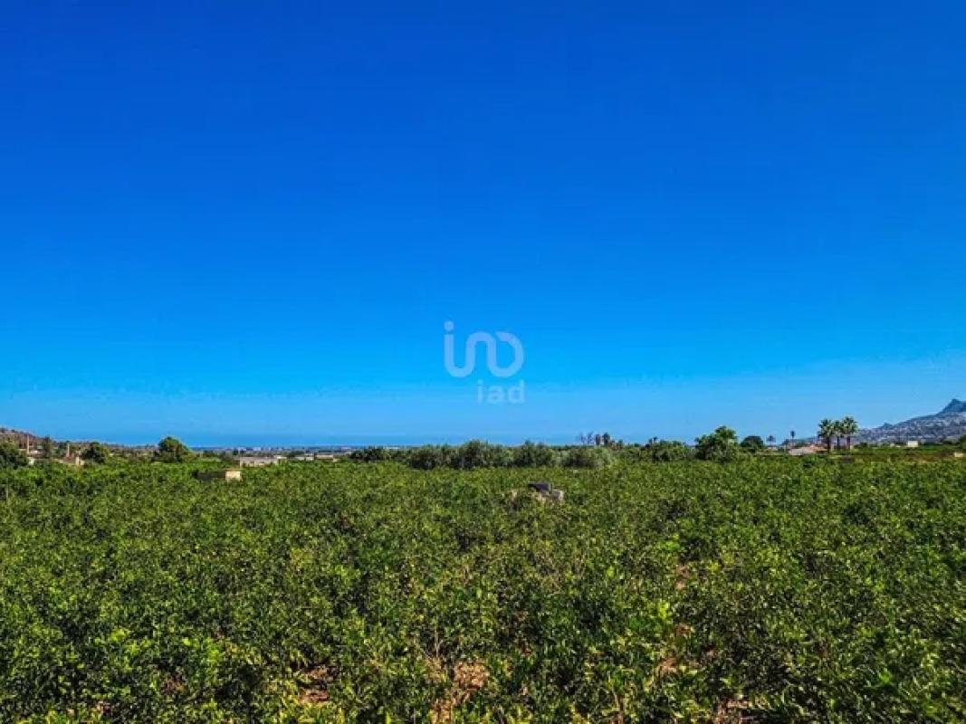 Terreno en venta en Banyeres de Mariola, Alicante photo 4
