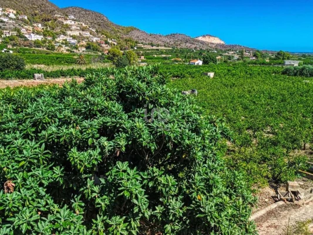 Terreno en venta en Banyeres de Mariola, Alicante photo 5