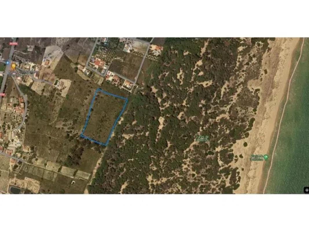 Terreno en venta en Elche / Elx, Alicante photo 1