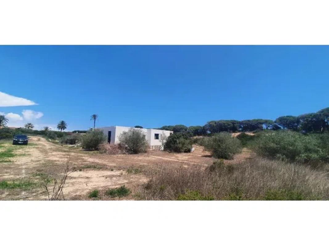 Terreno en venta en Elche / Elx, Alicante photo 2