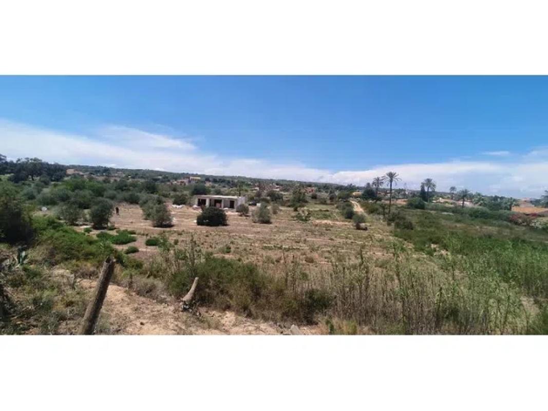 Terreno en venta en Elche / Elx, Alicante photo 4