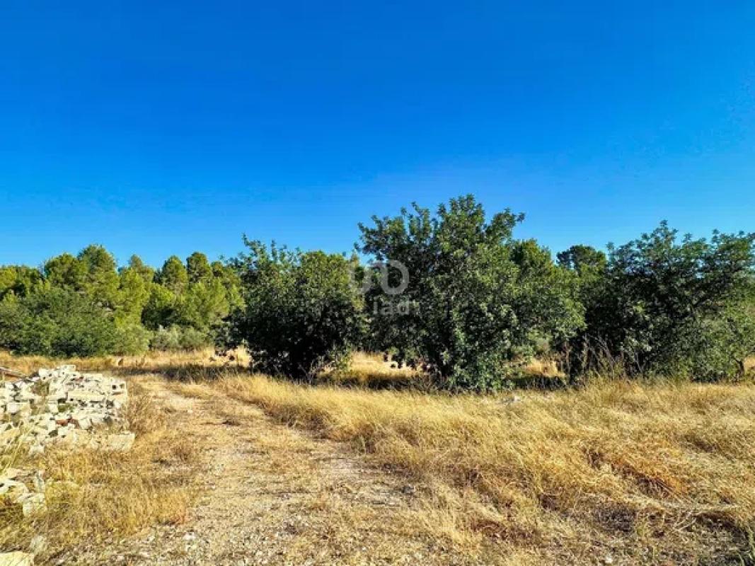 Działka na sprzedaż w Beniarbeig, Alicante photo 3