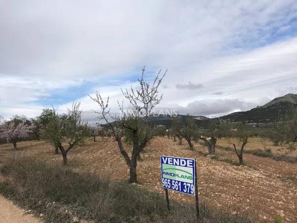 Terreno en calle San Vicent del Raspeig photo 1