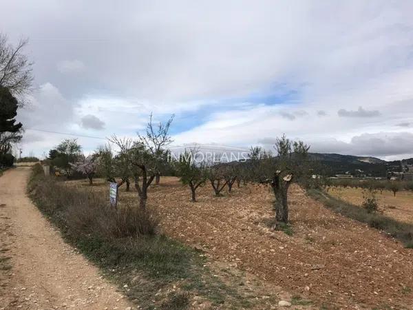 Terreno en calle San Vicent del Raspeig photo 2
