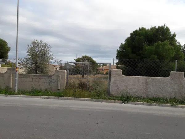 Terreno en calle del Pí photo 4