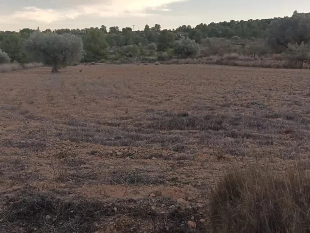 Działka na sprzedaż w Monowar, Alicante photo 2