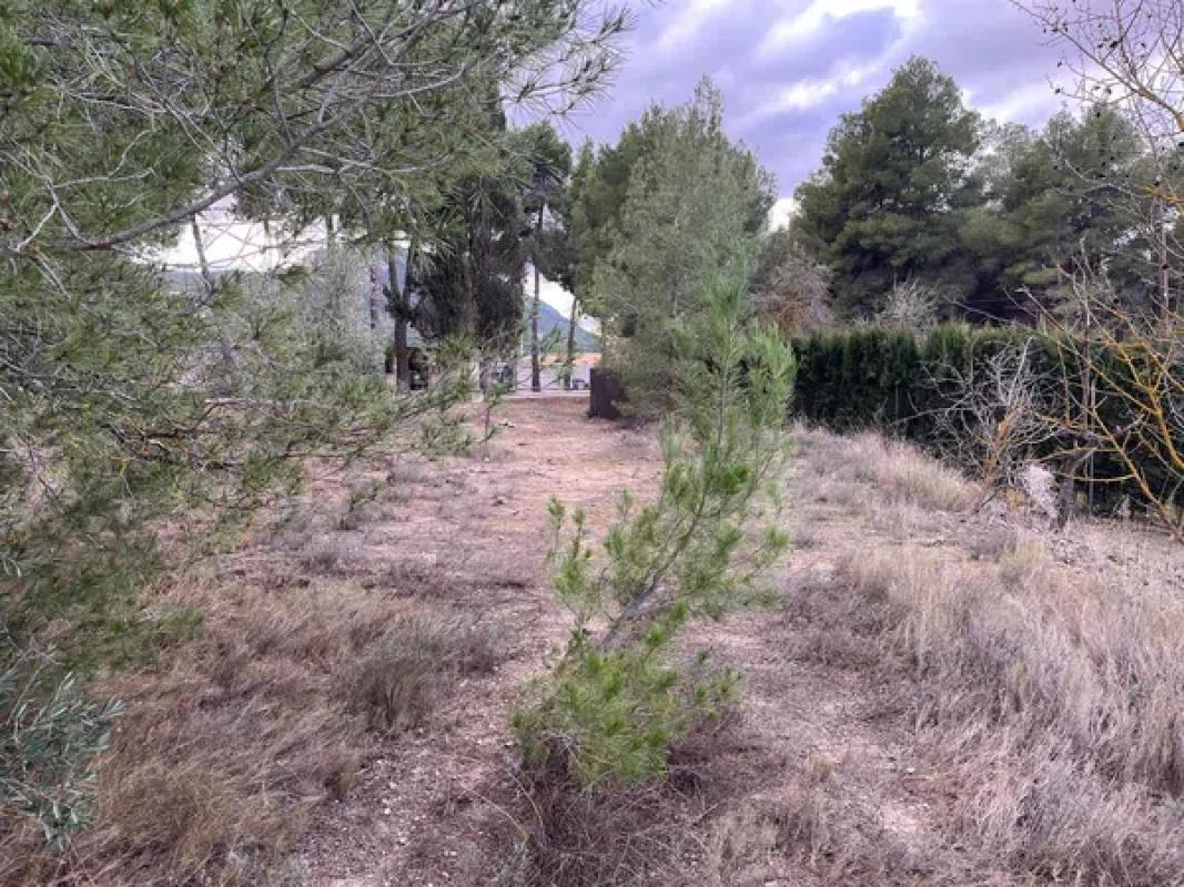 Terreno en venta en Biar, Alicante photo 1