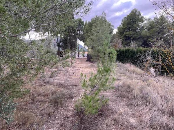 Terreno en Biar photo 1
