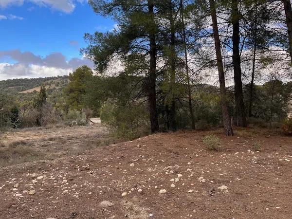 Terreno en Biar photo 2