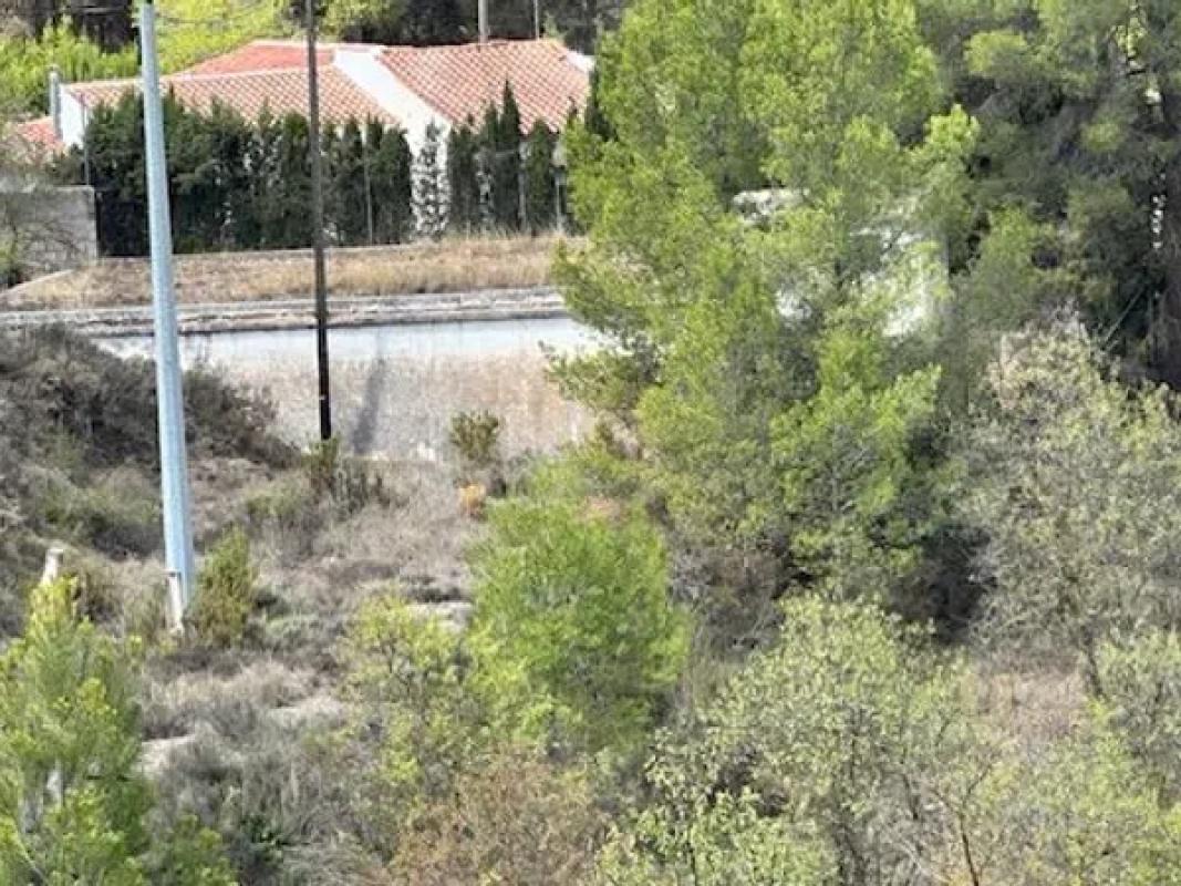 Terreno en venta en Biar, Alicante photo 5