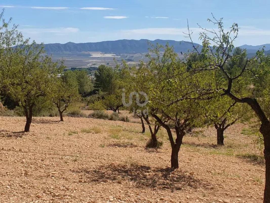 Land for sale in Salinas, Alicante photo 3
