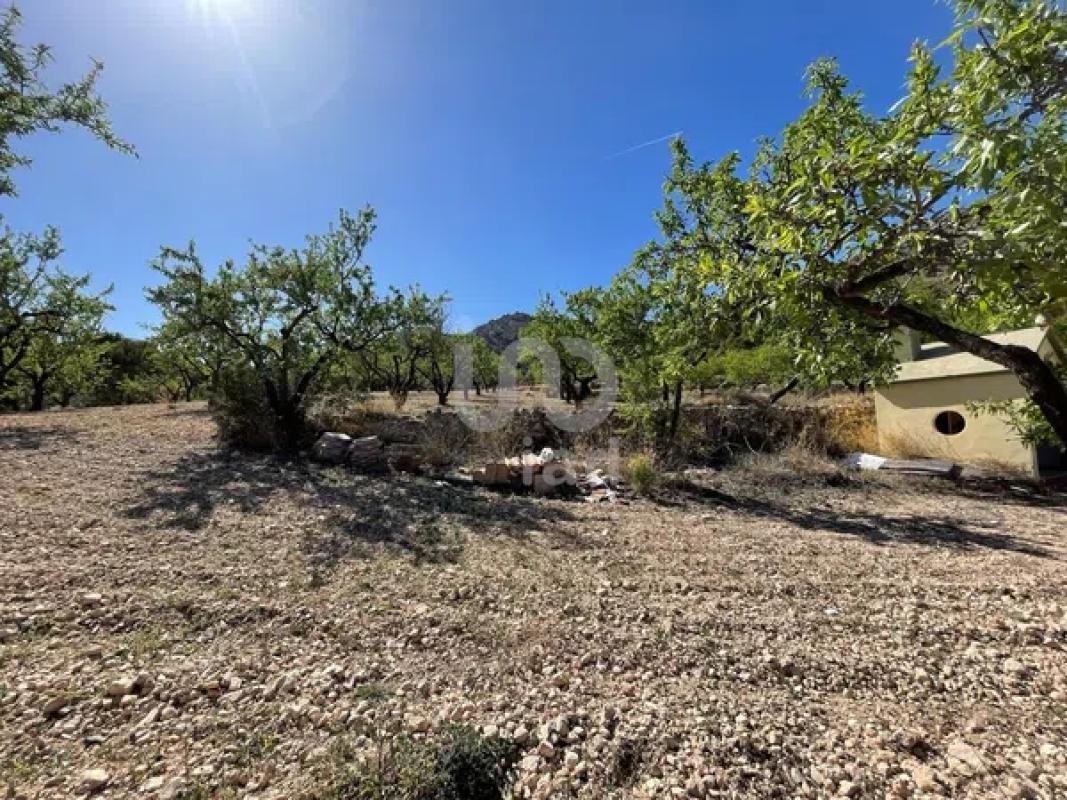 Land for sale in Salinas, Alicante photo 4