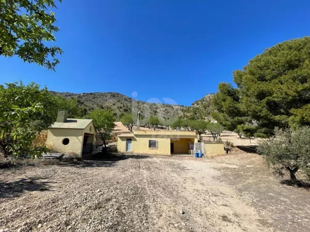 Land for sale in Salinas, Alicante photo 5