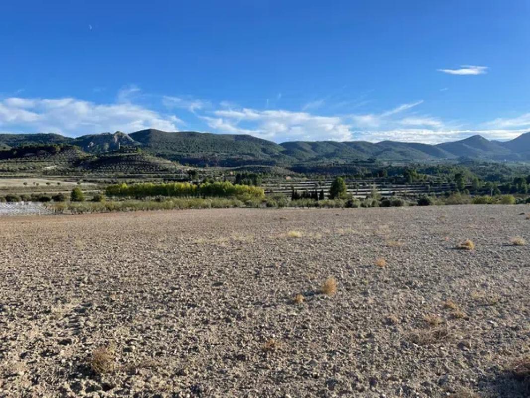 Terreno en venta en Elche / Elx, Alicante photo 1
