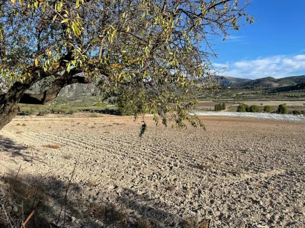 Terreno en venta en Elche / Elx, Alicante photo 2