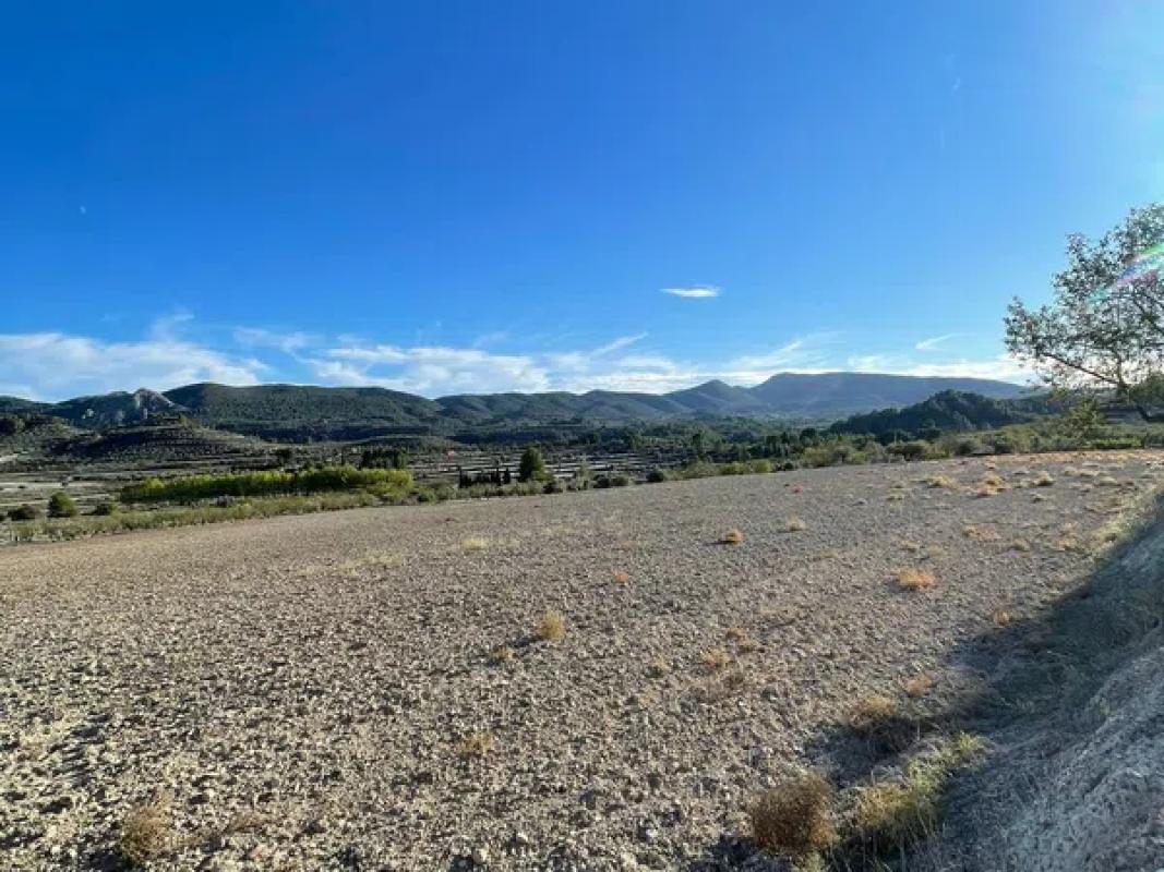 Terreno en venta en Elche / Elx, Alicante photo 3