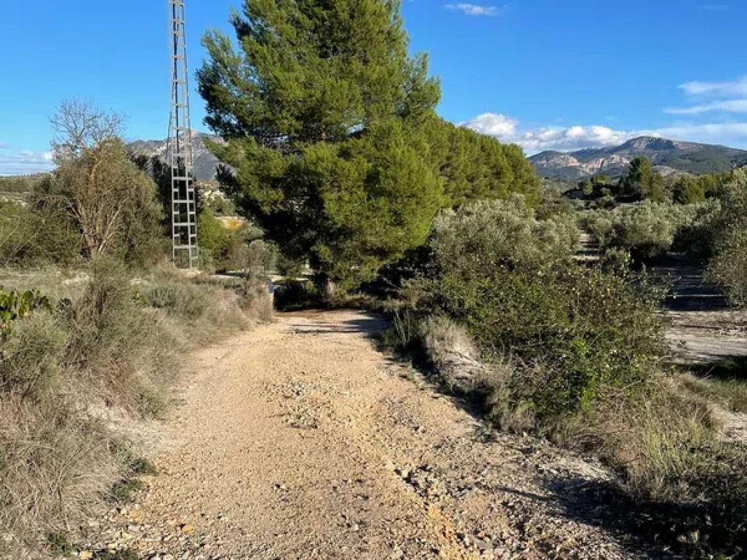 Terreno en venta en Benilloba, Alicante photo 5