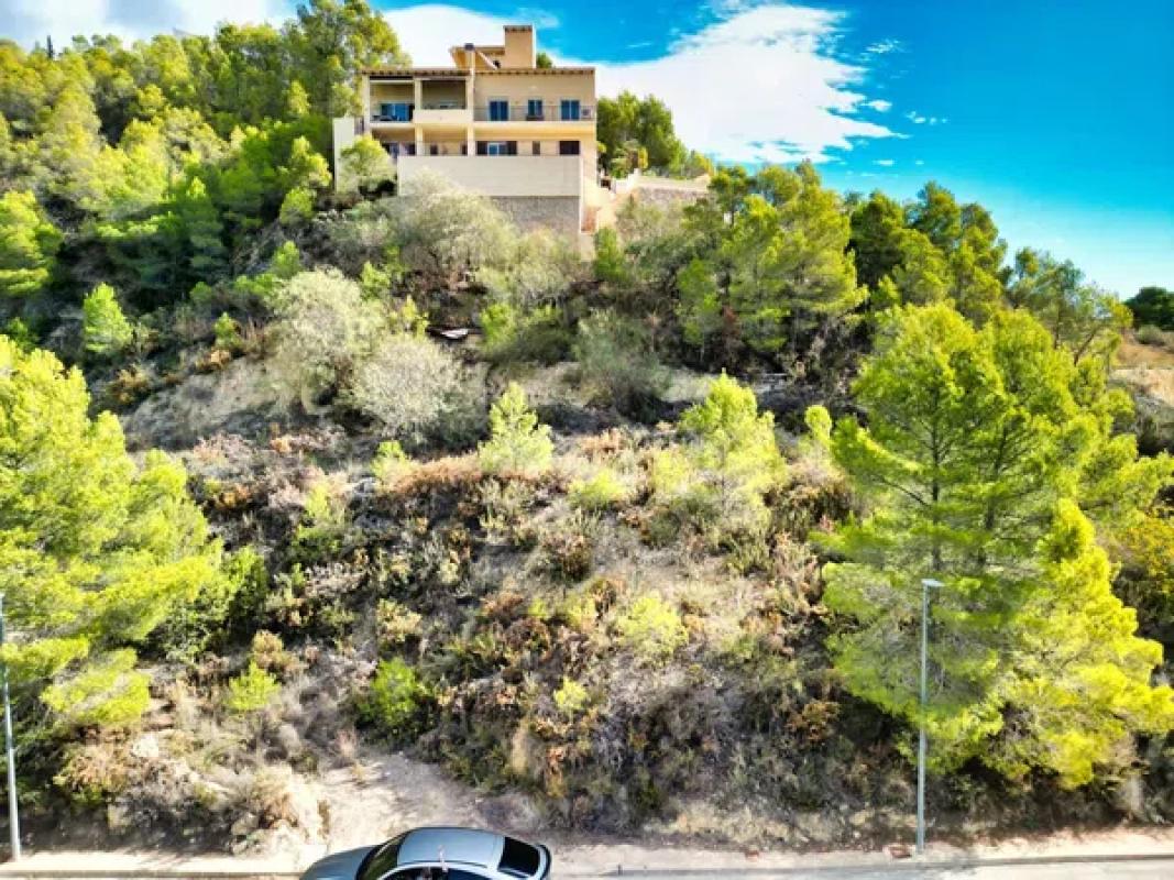 Terreno en venta en Callosa d''En Sarria, Alicante photo 2