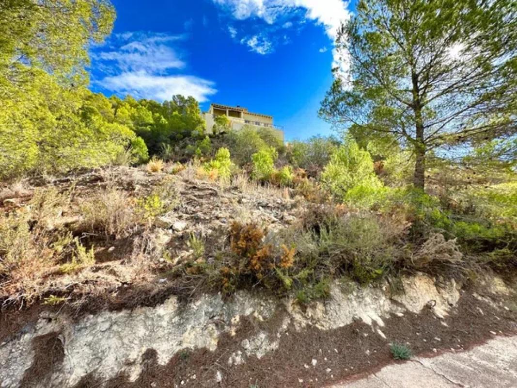 Terreno en venta en Callosa d''En Sarria, Alicante photo 3