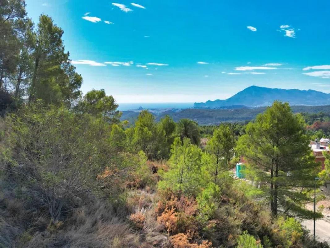 Terreno en venta en Callosa d''En Sarria, Alicante photo 4