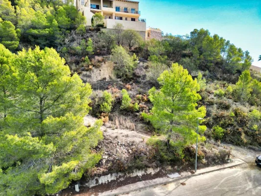 Terreno en venta en Callosa d''En Sarria, Alicante photo 5
