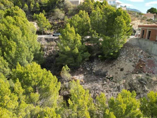 Terreno en Callosa d'En Sarria photo 4