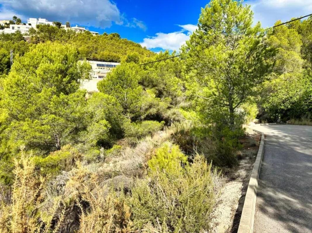 Terreno en venta en Callosa d''En Sarria, Alicante photo 2